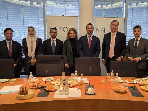 Gamechanger Golfstaaten? Die Neuordnung des Nahen Ostens